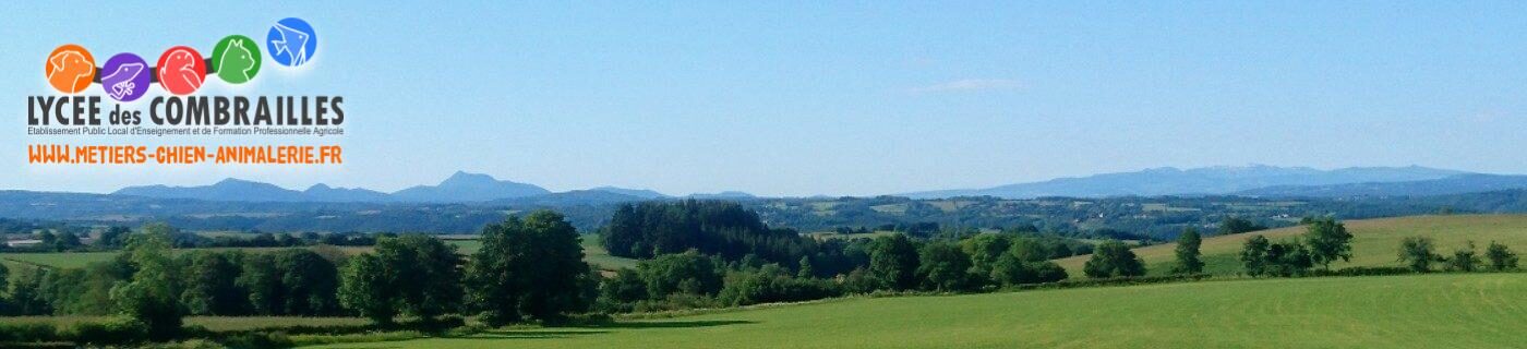 Paysage des Combrailles avec vue sur la Chaîne des Puys et le massif de Sancy.